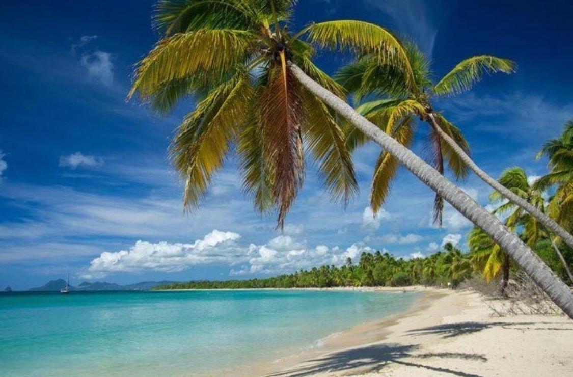 Residence Plage Des Salines 생트안느 외부 사진